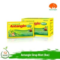 ANTANGIN SYRUP MINT D12