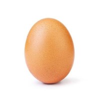 Telur 1kg