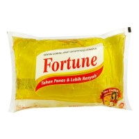 Fortune Pillow 1 Lt